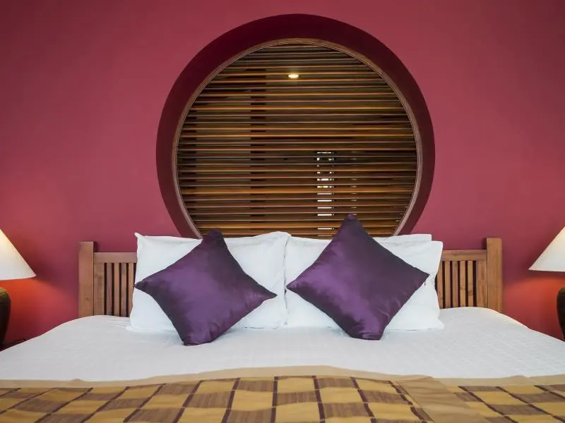 2019_16062716120044142948.jpg?s=800x&ca=13&ce=1