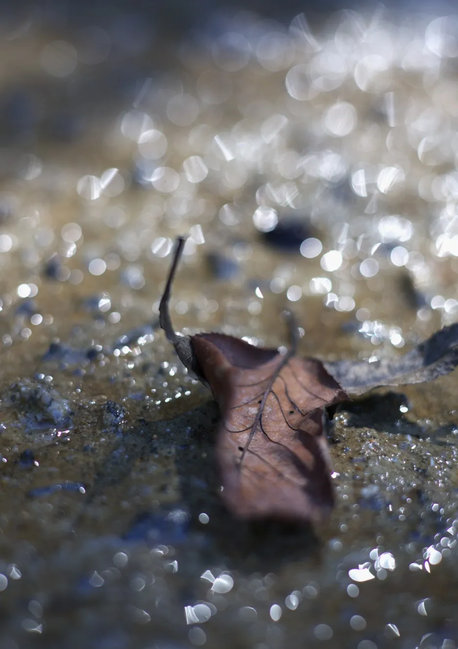 25.10.15-05.jpg?type=w1