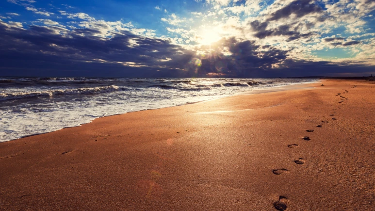 %EB%B0%9C%EC%9E%90%EA%B5%AD.png?type=w773