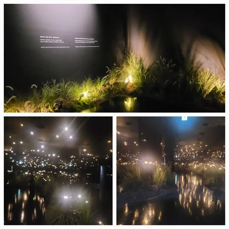 KakaoTalk_20251104_173510904.jpg?type=w773