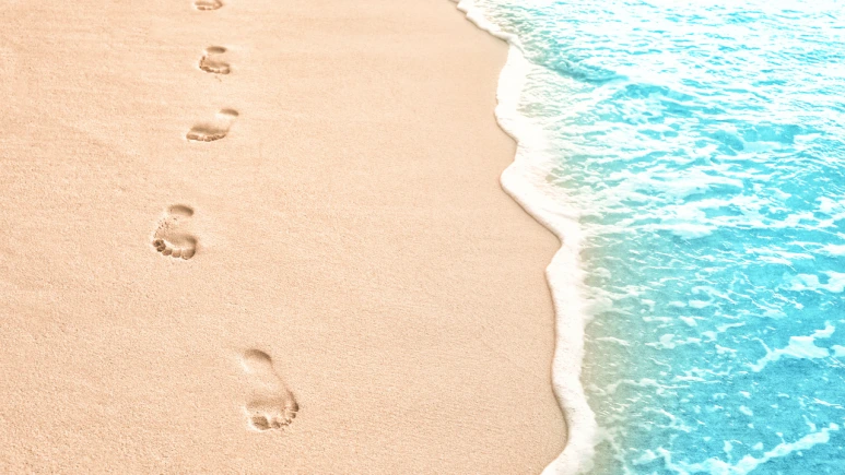 %EC%A0%9C%EB%AA%A9_%EC%97%86%EB%8A%94_%EB%94%94%EC%9E%90%EC%9D%B8.png?type=w773