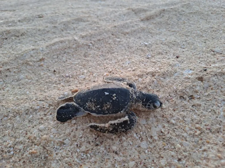 20241031%EF%BC%BF060658.jpg?type=w773