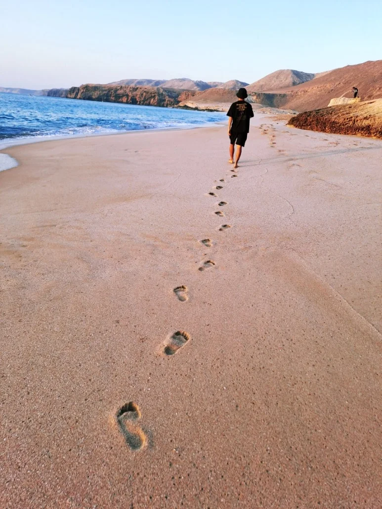 1731560226294.jpg?type=w773