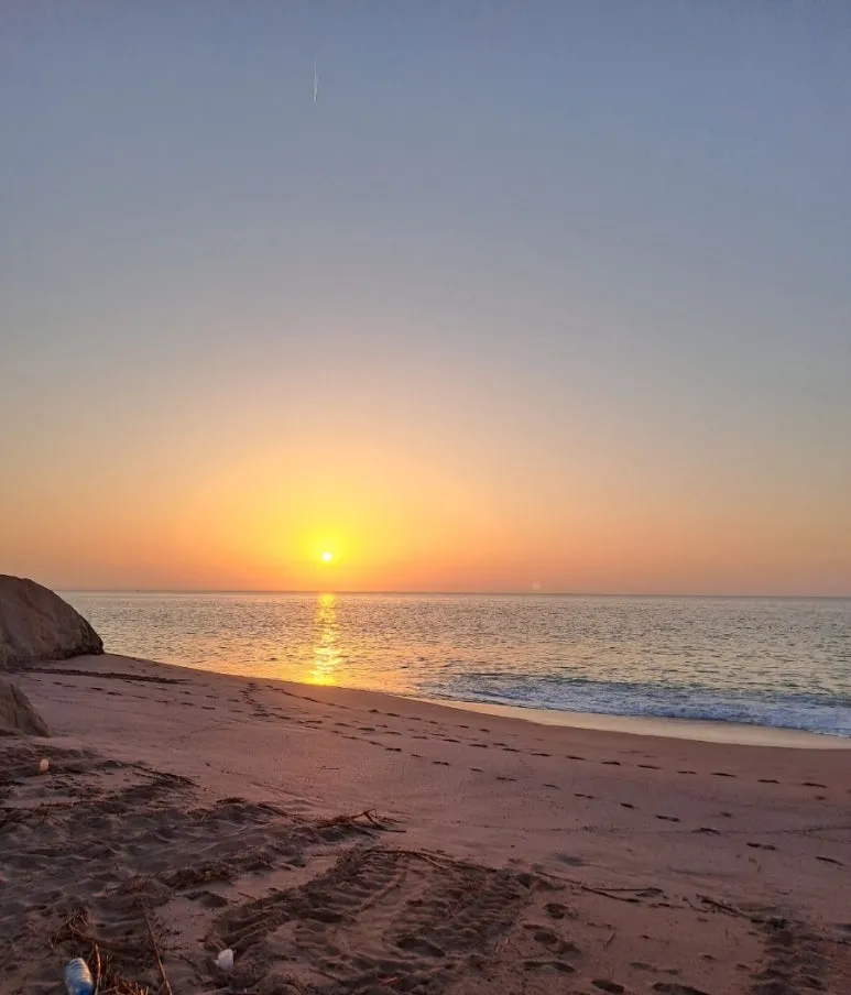 1731560225796.jpg?type=w773