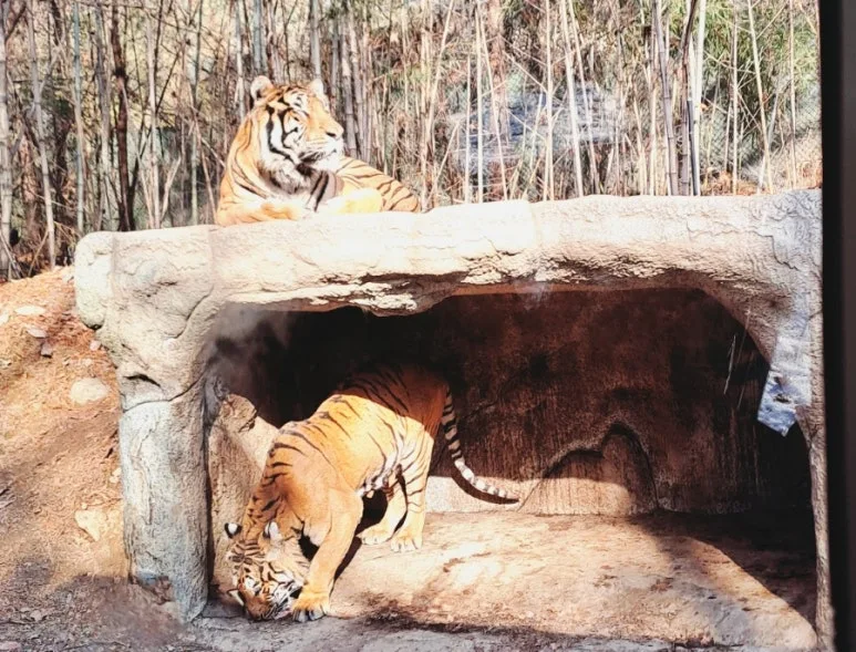 900%EF%BC%BF1737222012472.jpg?type=w773