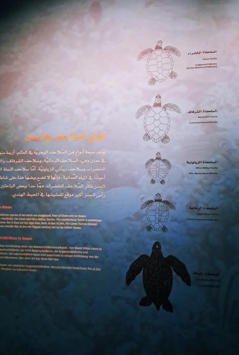 1731560223511.jpg?type=w773