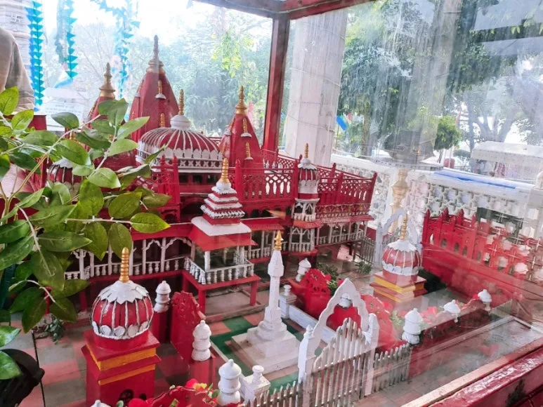 900%EF%BC%BF1737222759675.jpg?type=w773