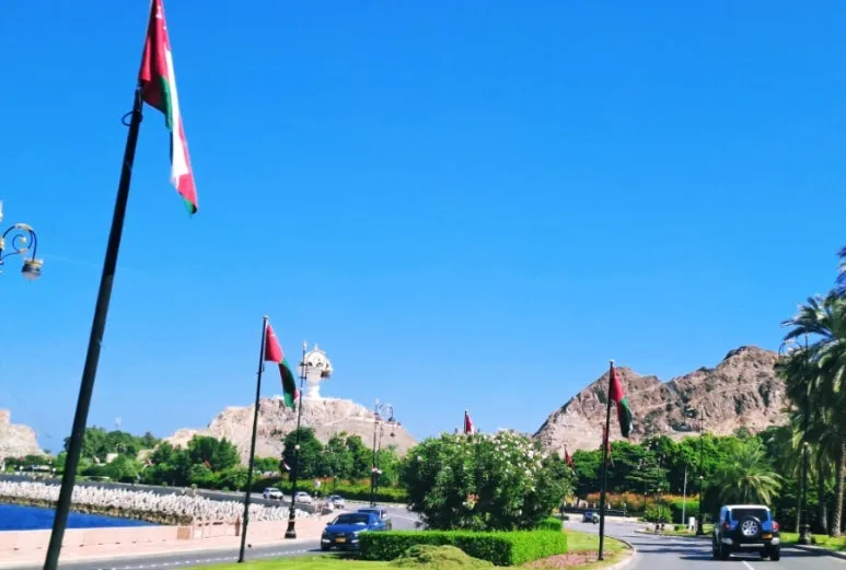 1731804908134.jpg?type=w773