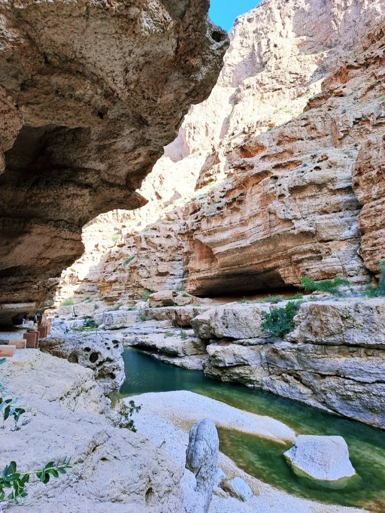 1731610630131.jpg?type=w773