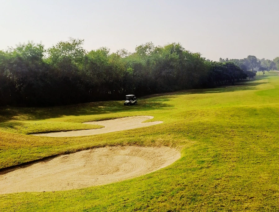 1733124572574.jpg?type=w1