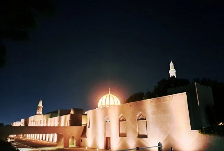 1731804921970.jpg?type=w773