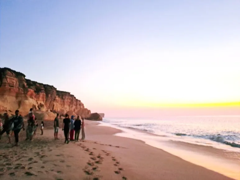 1731560224813.jpg?type=w773