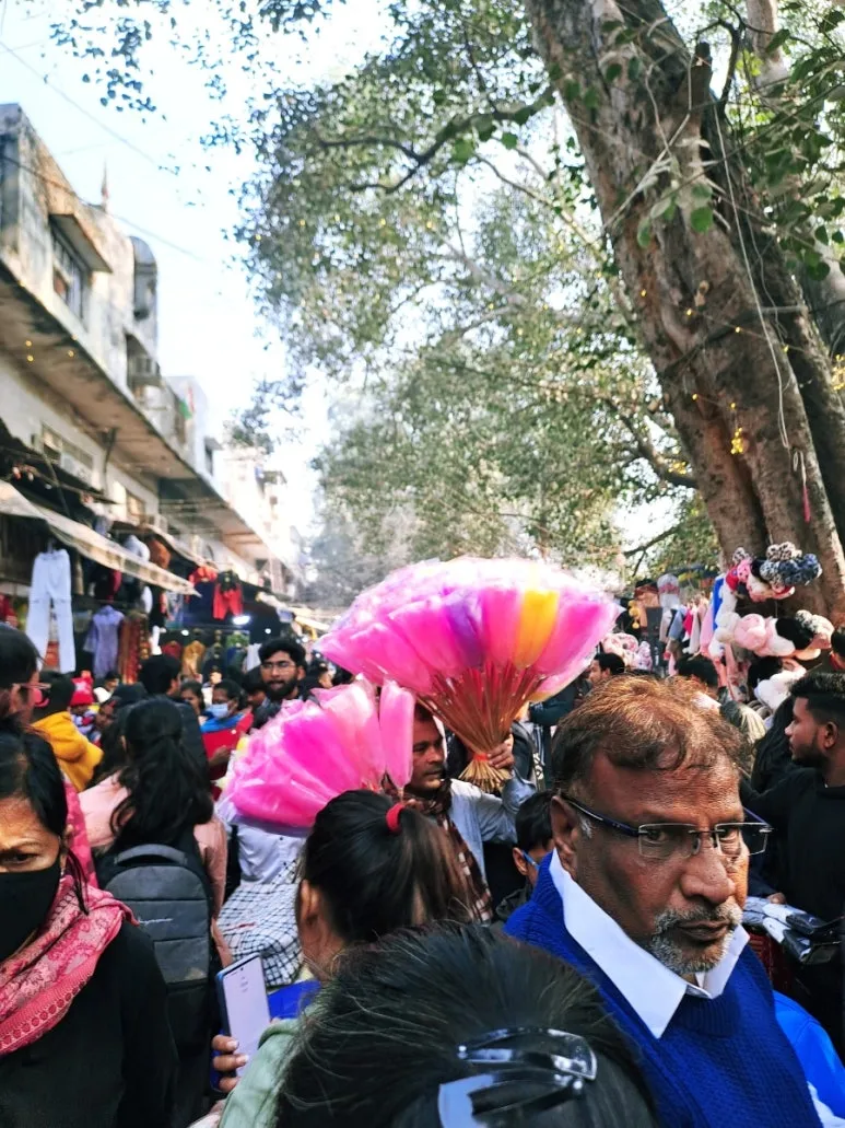 900%EF%BC%BF1737220918884.jpg?type=w773