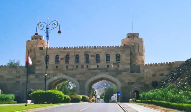 1731804908918.jpg?type=w773