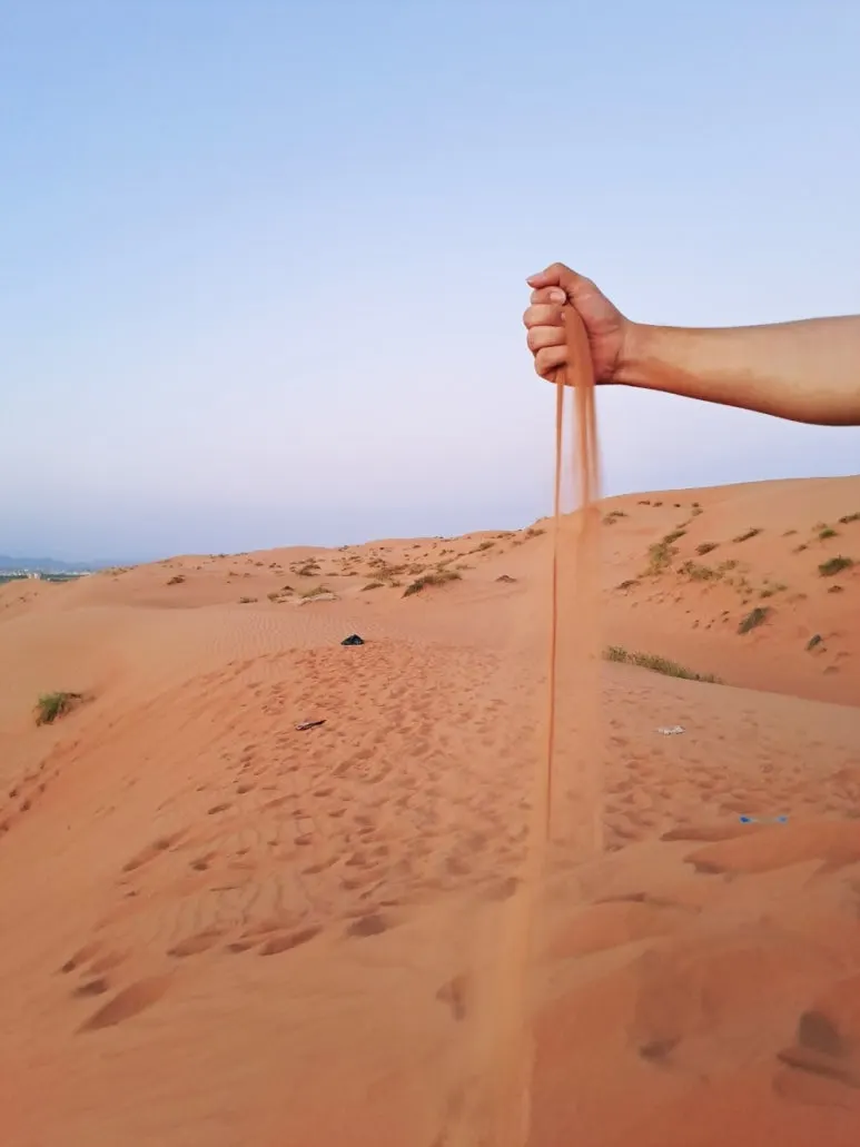 1731606474457.jpg?type=w773