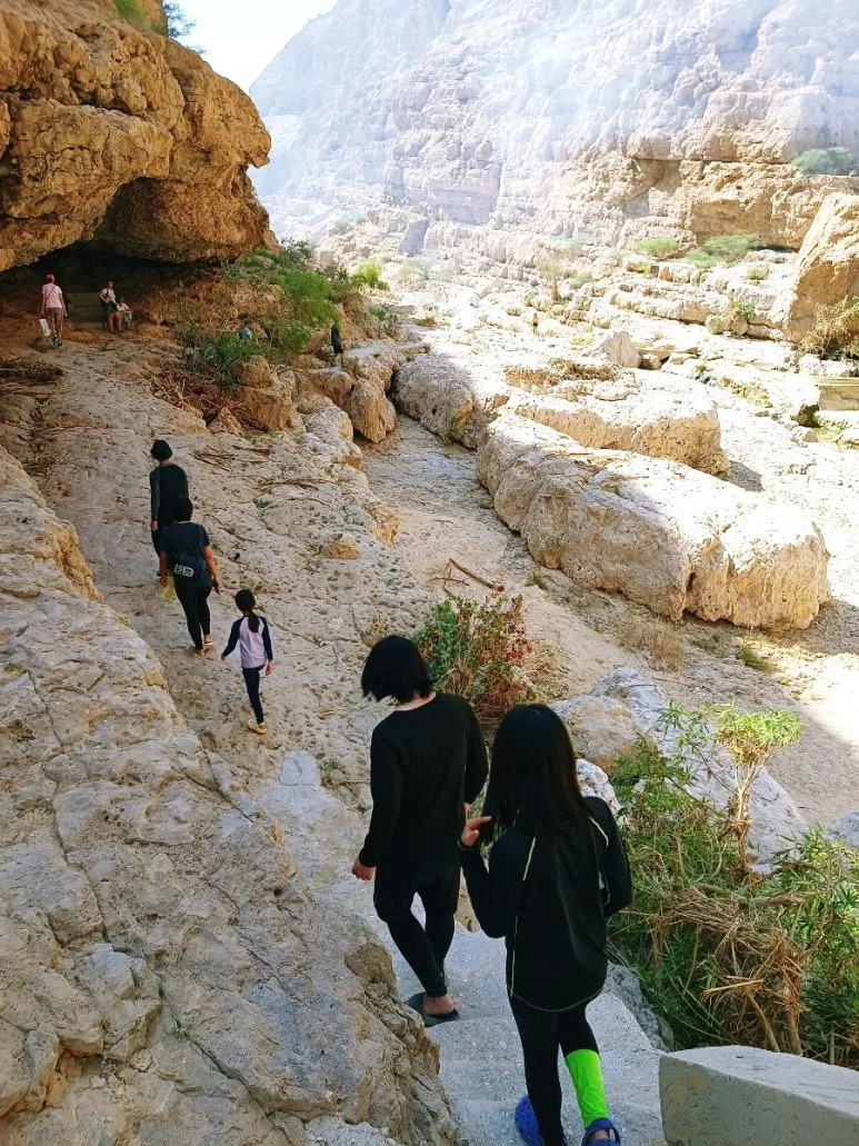 1731610630973.jpg?type=w773