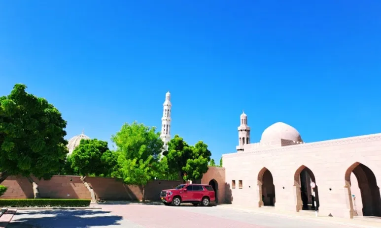 1731804906578.jpg?type=w773