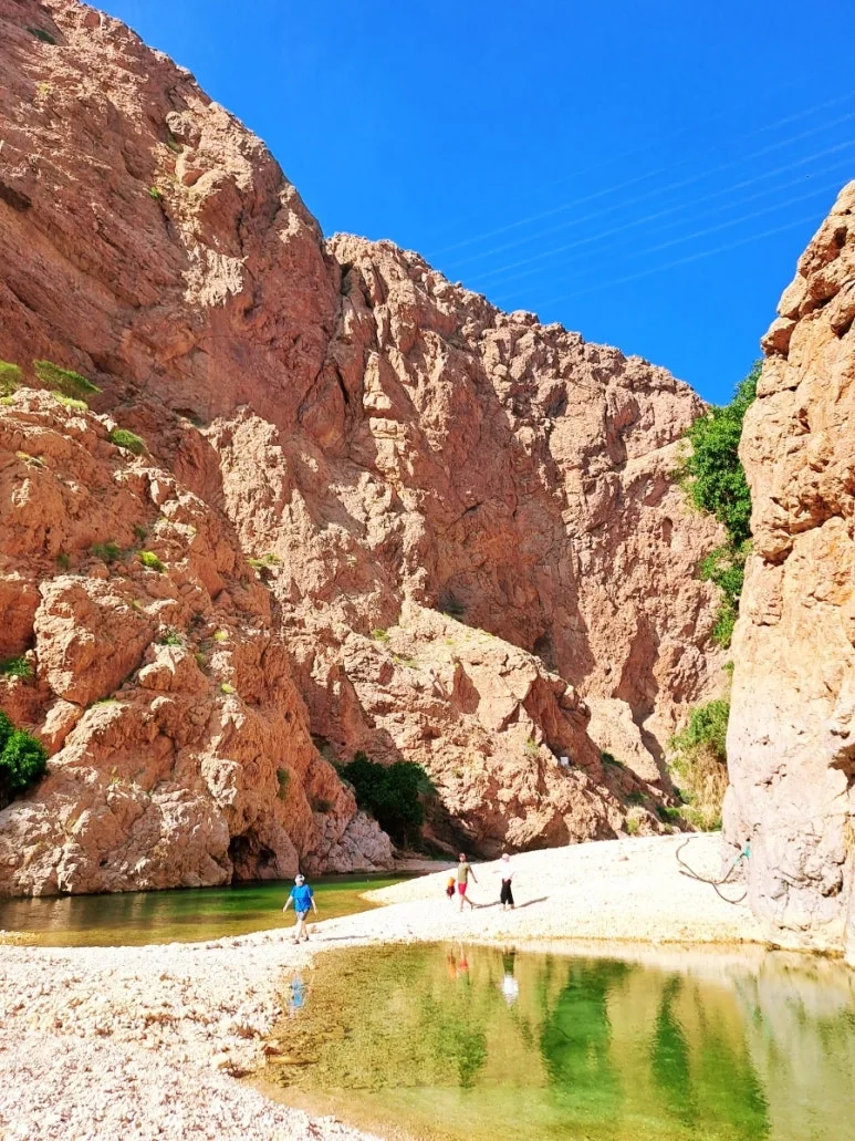 1731610631672.jpg?type=w773