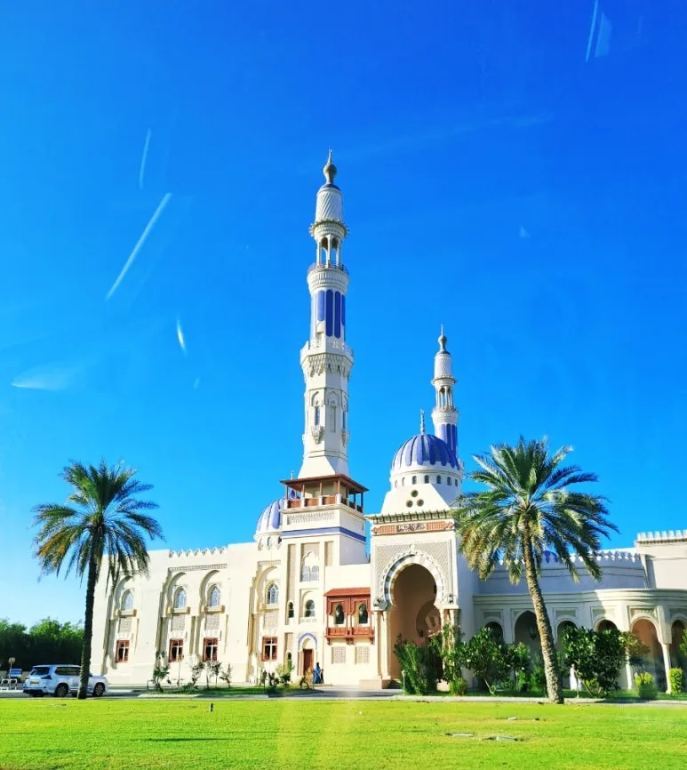 1730641042231.jpg?type=w773