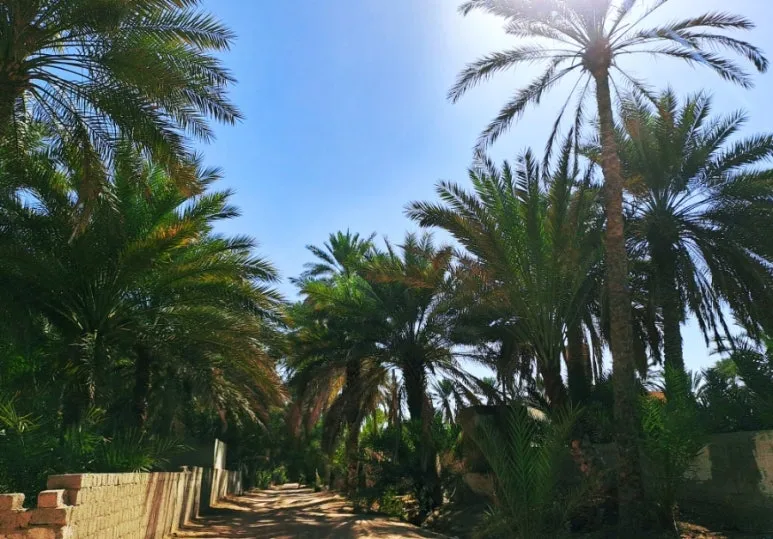 1731606472477.jpg?type=w773