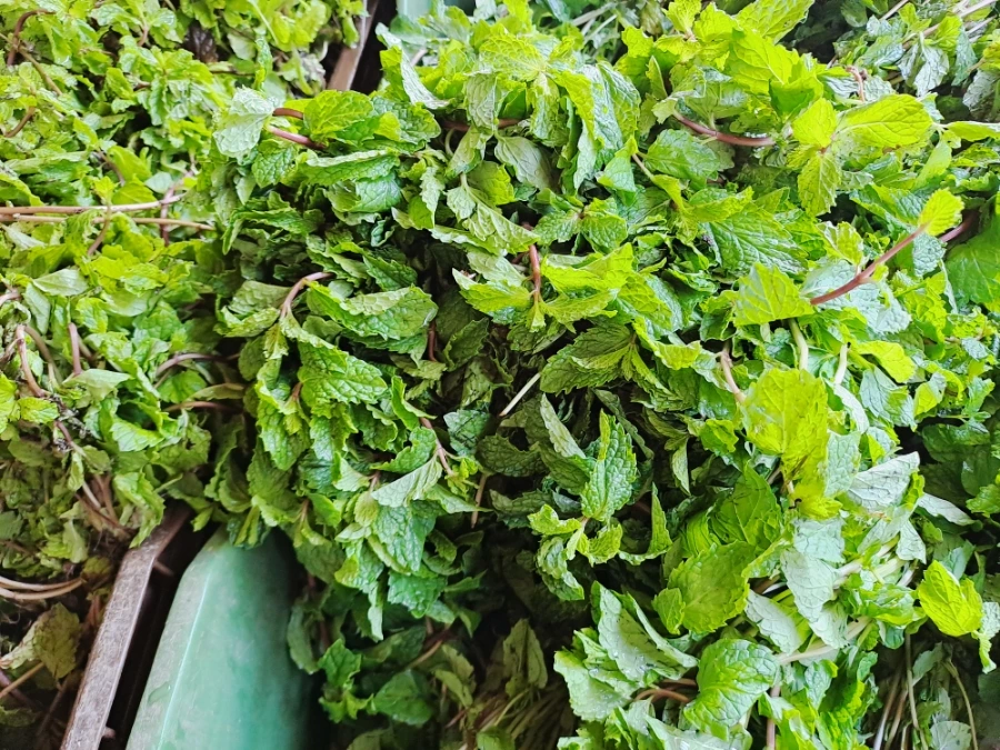 1732597132661.jpg?type=w1