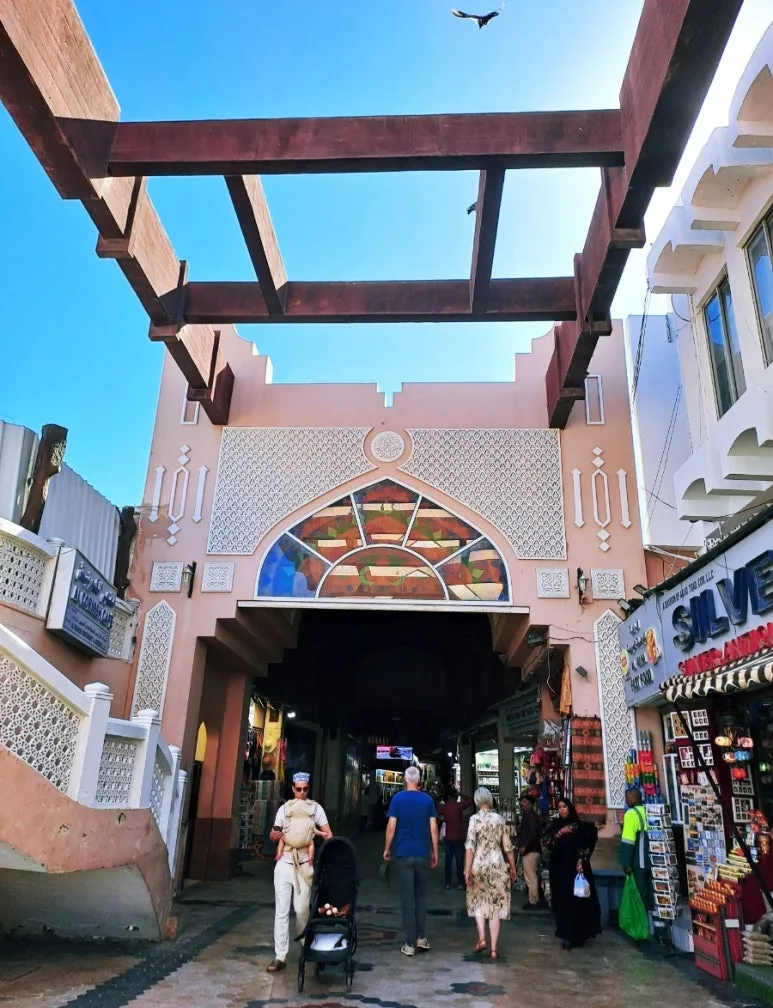 1731804914036.jpg?type=w773