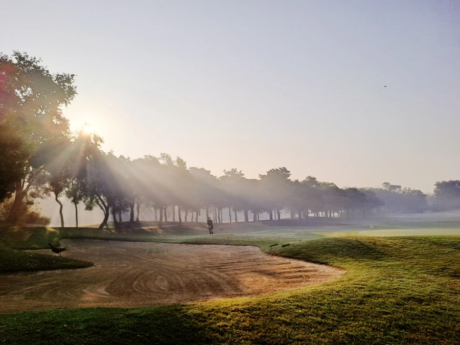 1733124572053.jpg?type=w1