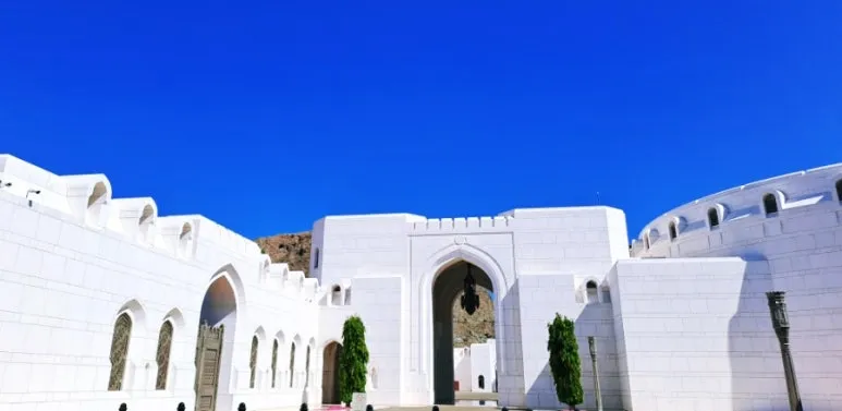 1731804910785.jpg?type=w773