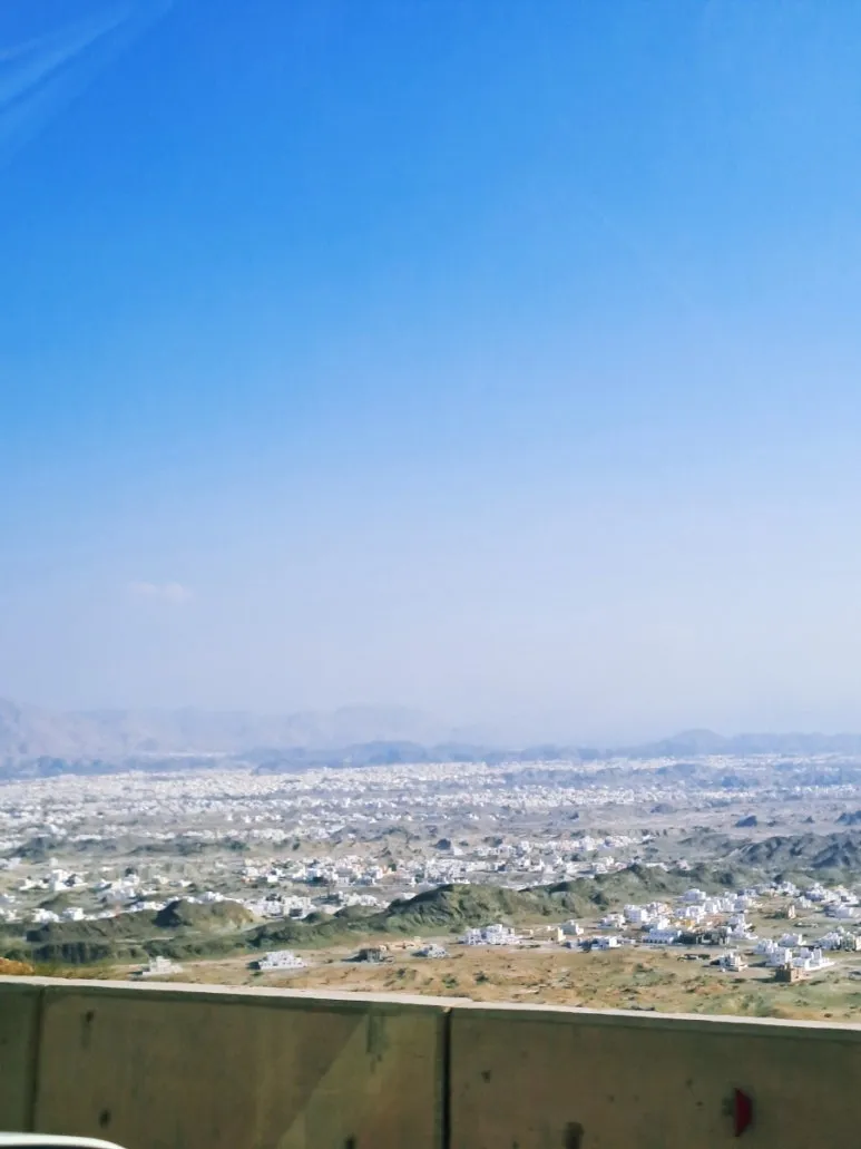 1731387432644.jpg?type=w773