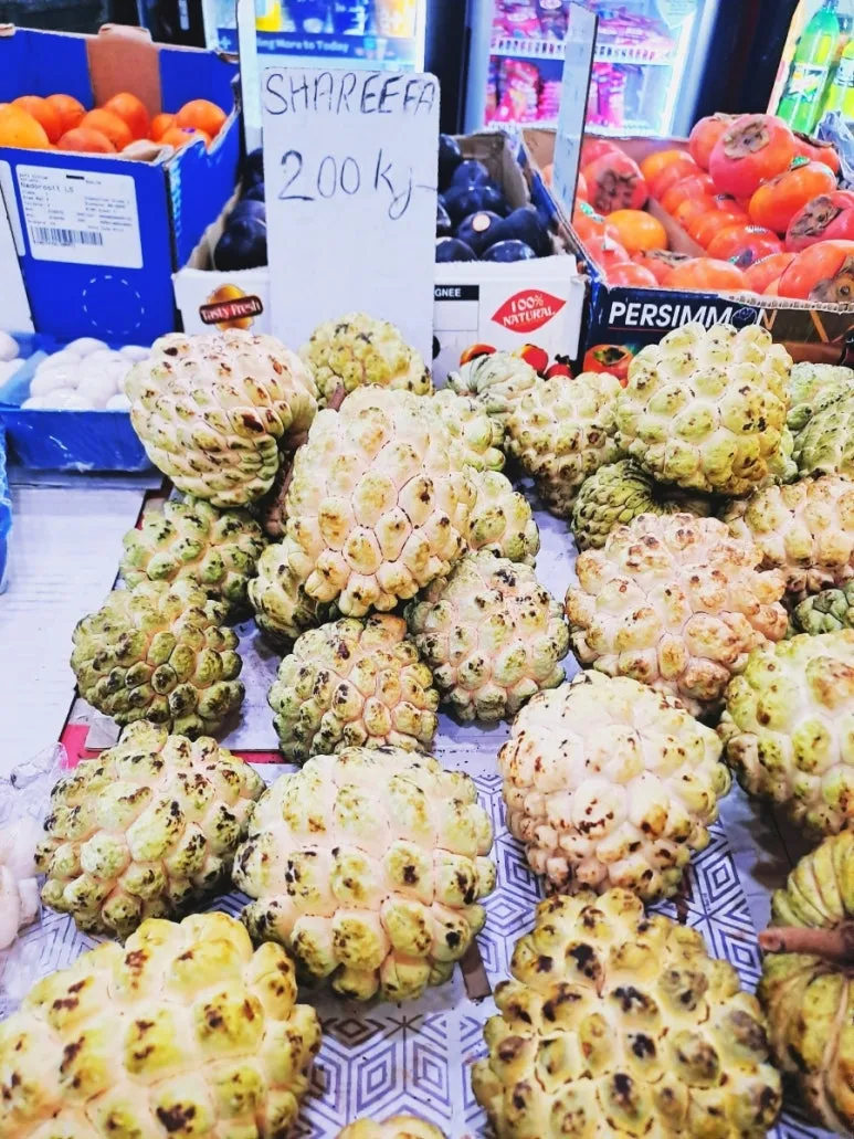 900%EF%BC%BF1737204676087.jpg?type=w773