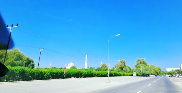 1731804906085.jpg?type=w773