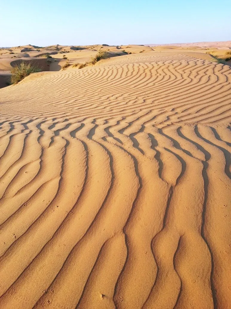 1730641183855.jpg?type=w773