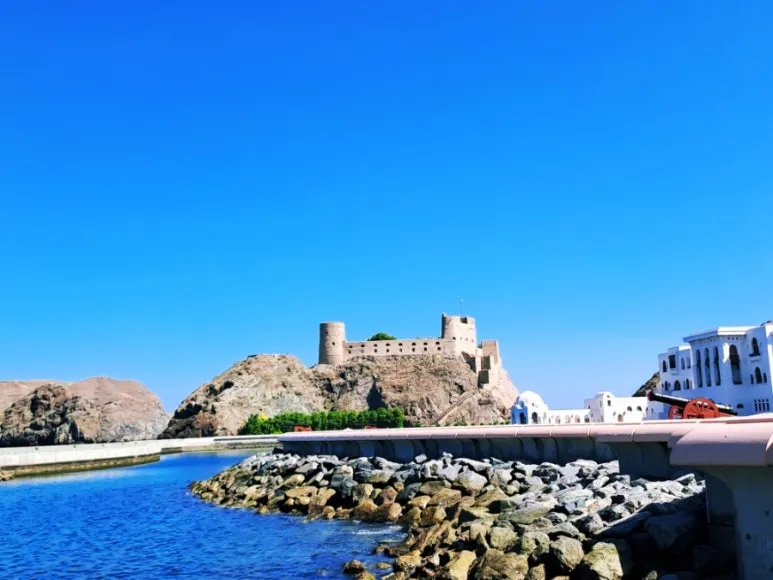 1731804913047.jpg?type=w773