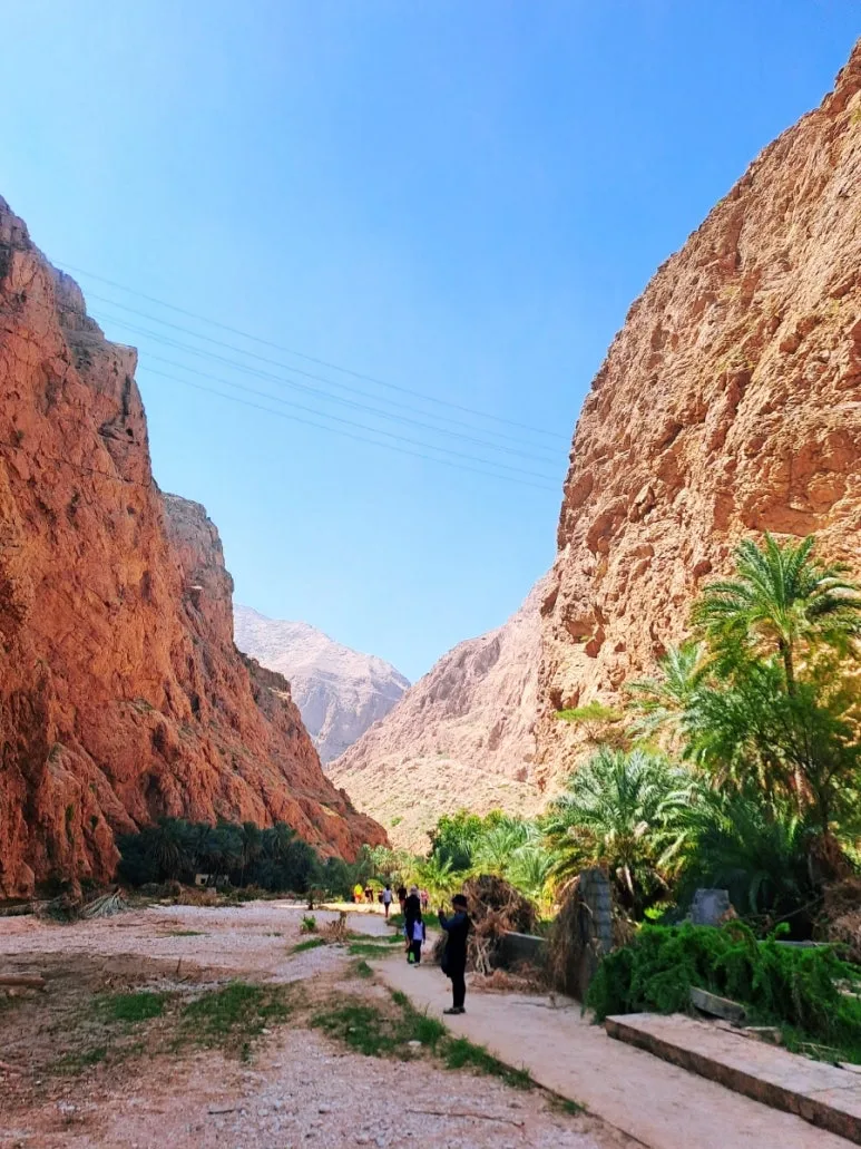 1731610628654.jpg?type=w773