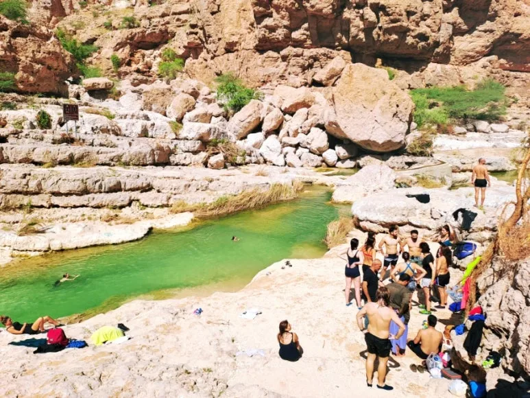 1731610630693.jpg?type=w773