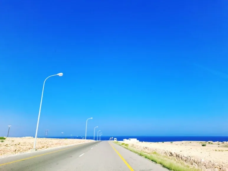 1731606469404.jpg?type=w773