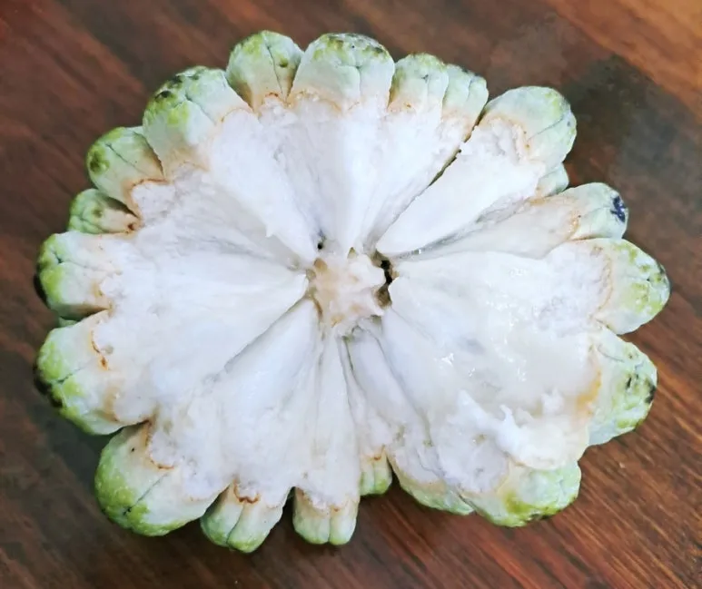 900%EF%BC%BF1733567244279.jpg?type=w773