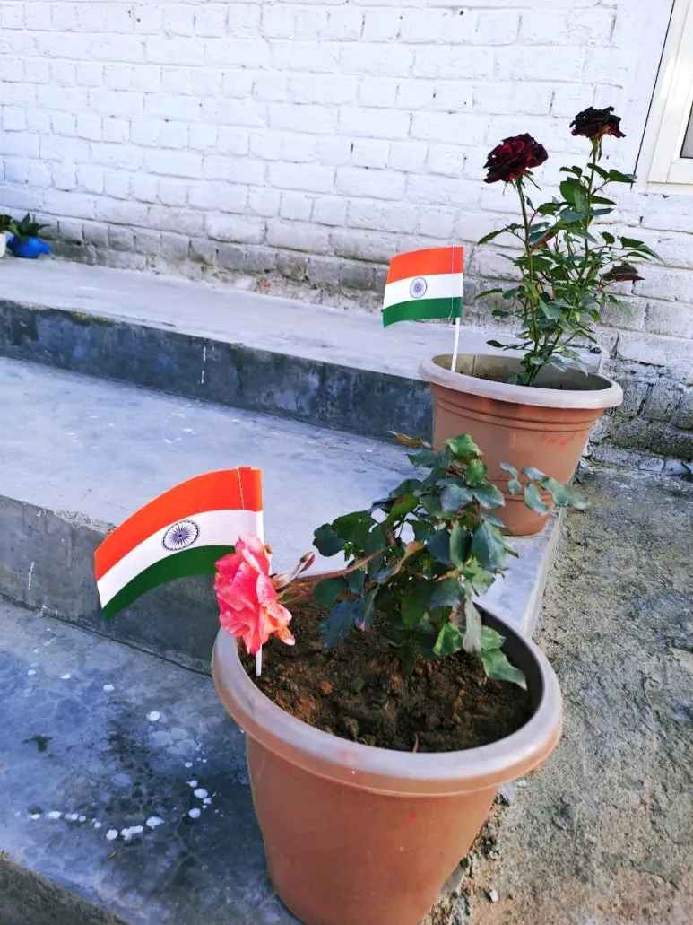 900%EF%BC%BF1738046466564.jpg?type=w773