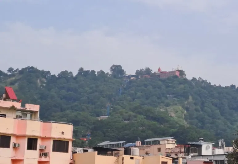 1728389792304.jpg?type=w773