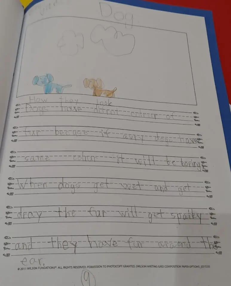 1729994524117.jpg?type=w773