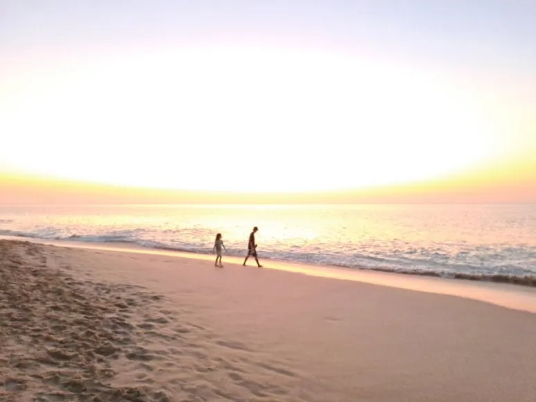 20241031%EF%BC%BF054058.jpg?type=w773