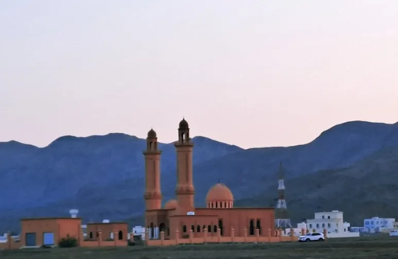 1731387433562.jpg?type=w773