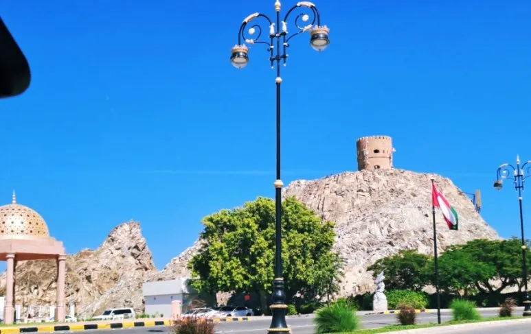 1731804908527.jpg?type=w773