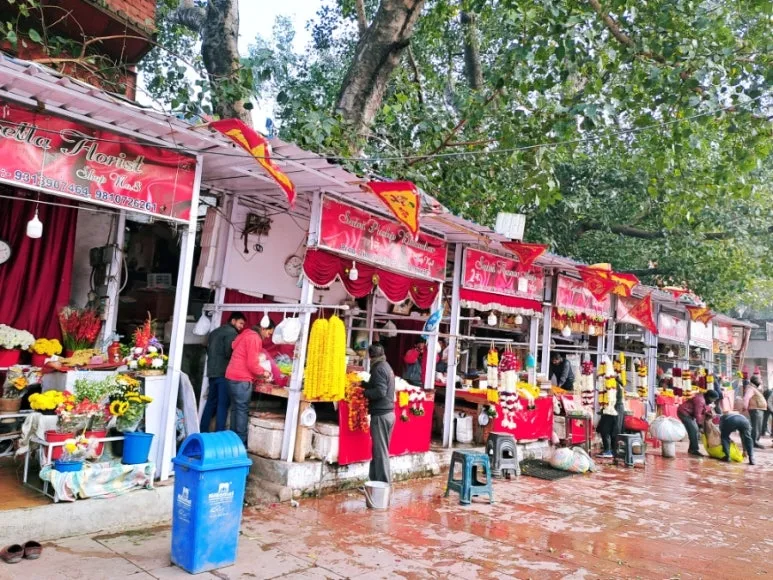 900%EF%BC%BF1737222756074.jpg?type=w773