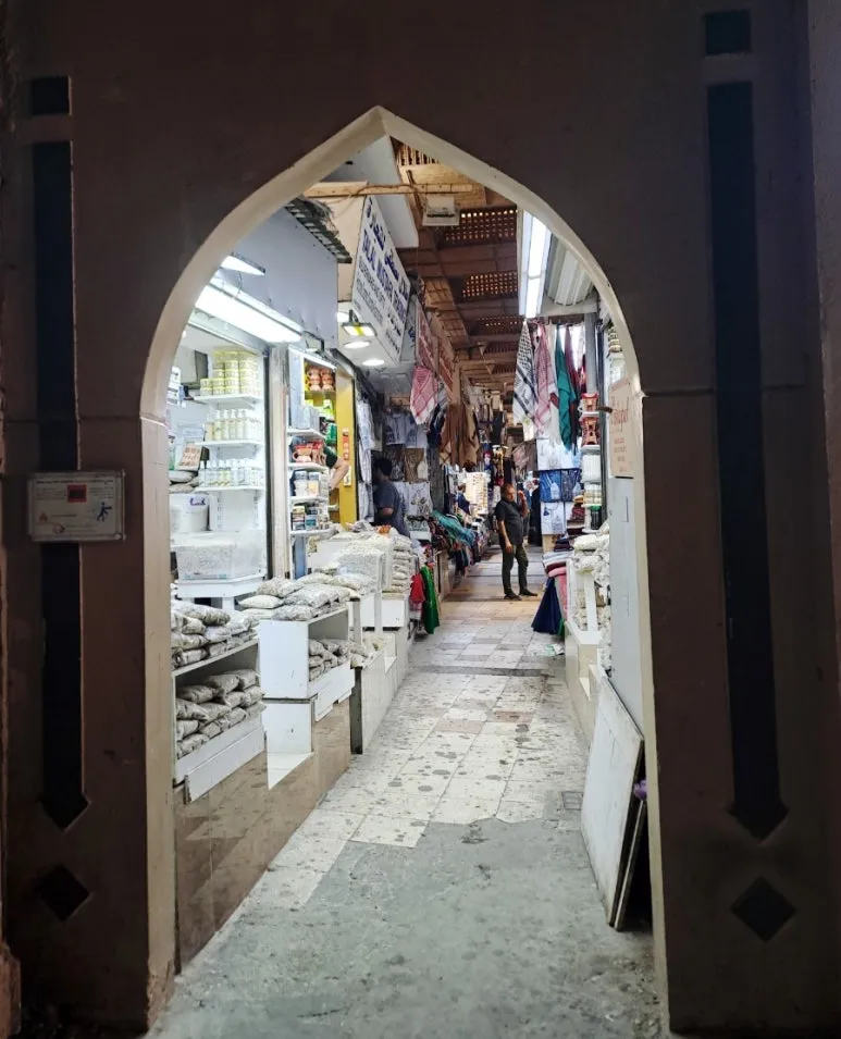 1731804916054.jpg?type=w773