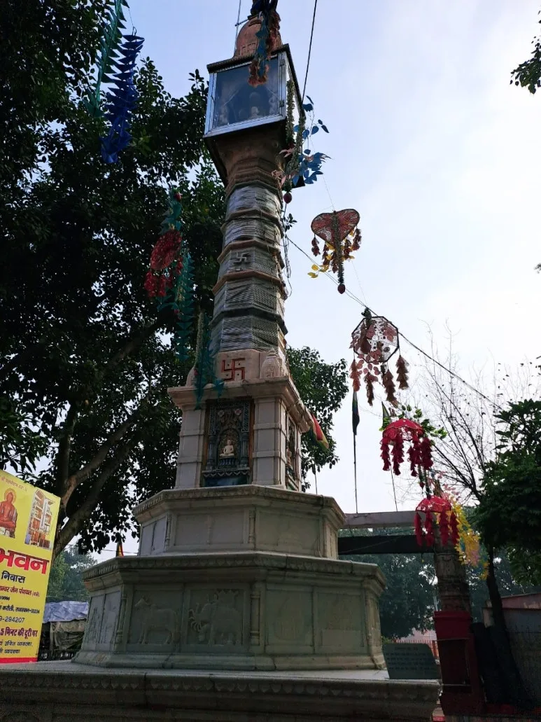 900%EF%BC%BF1737222758338.jpg?type=w773