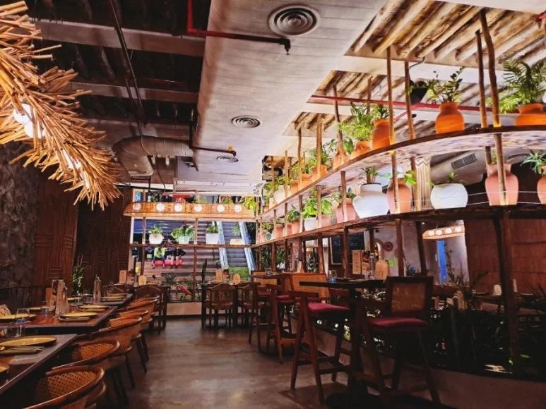 900%EF%BC%BF1737220208132.jpg?type=w773