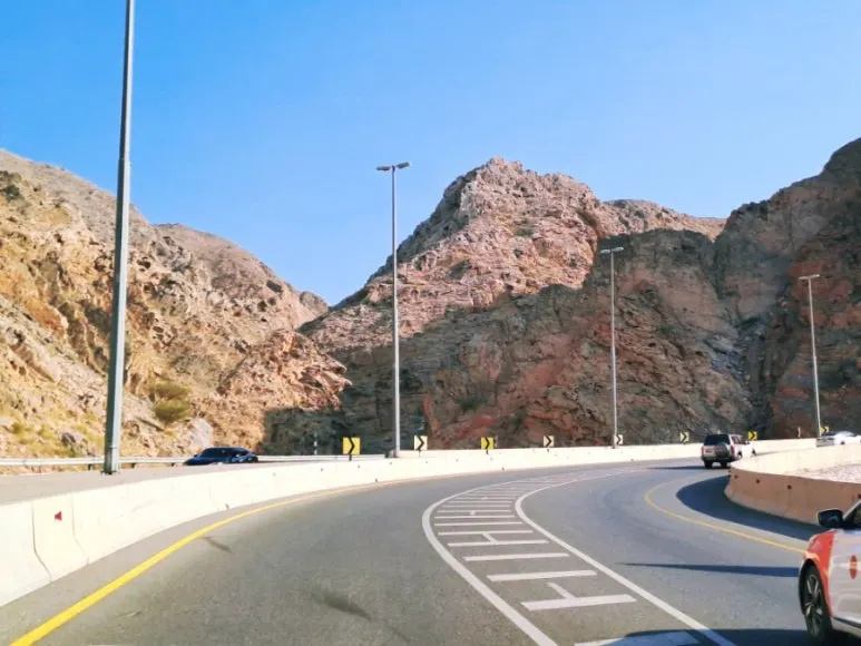 1731387432195.jpg?type=w773