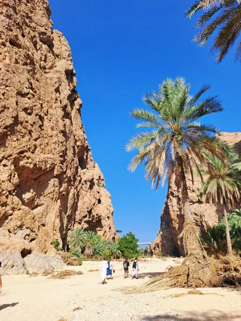 1730641226112.jpg?type=w773