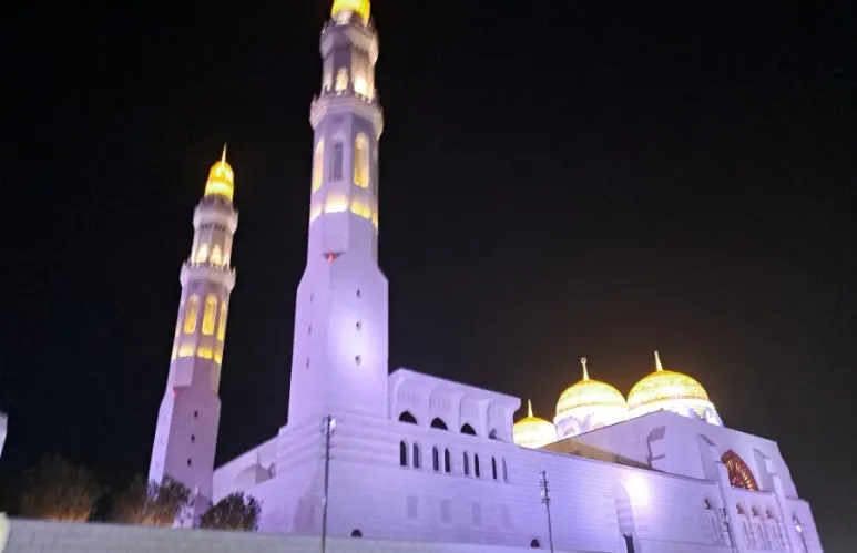 1731804921094.jpg?type=w773